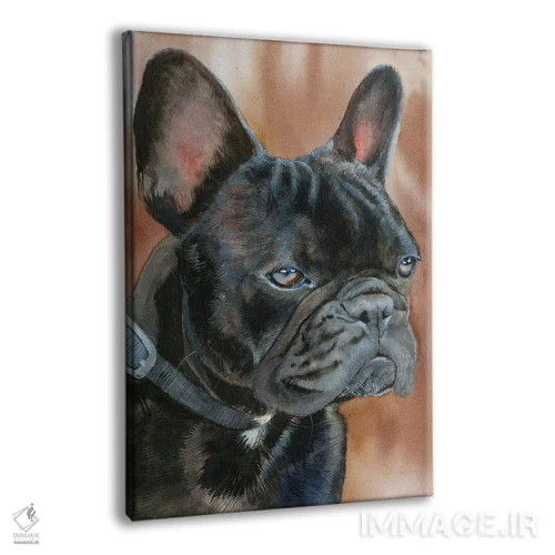 تابلو دکوراتیو دکستر اثر جودیت استاین - نمای پرسپکتیو محصول