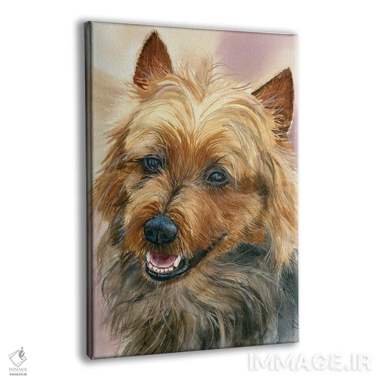 تابلو دکوراتیو استرالیا اثر جودیت استاین - نمای پرسپکتیو محصول