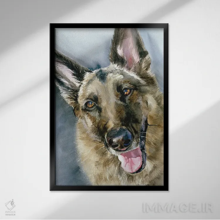 تابلو دکوراتیو برو برو اثر جودیت استاین - نمای قابدار مشکی