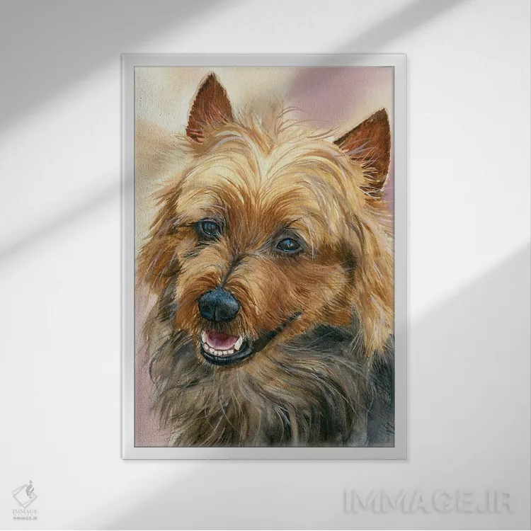 تابلو دکوراتیو استرالیا اثر جودیت استاین - نمای قابدار سفید