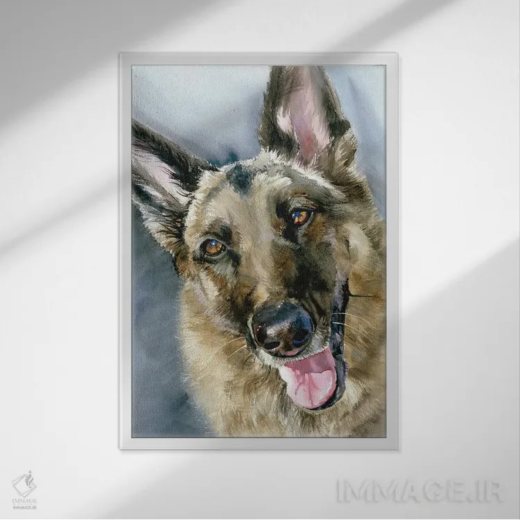 تابلو دکوراتیو برو برو اثر جودیت استاین - نمای قابدار سفید