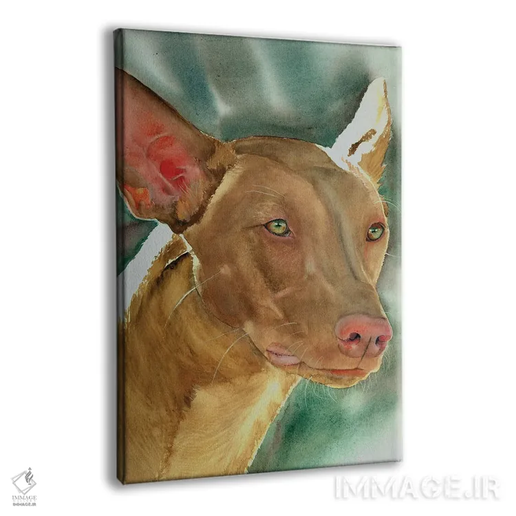 تابلو دکوراتیو سگ شکاری خرگوش اثر جودیت استاین - نمای پرسپکتیو محصول