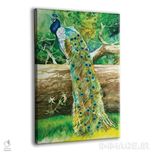 تابلو دکوراتیو طاووس مغرور اثر جودیت استاین - نمای پرسپکتیو محصول
