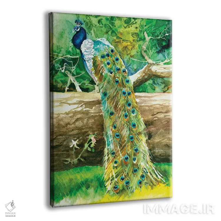 تابلو دکوراتیو طاووس مغرور اثر جودیت استاین - نمای پرسپکتیو محصول