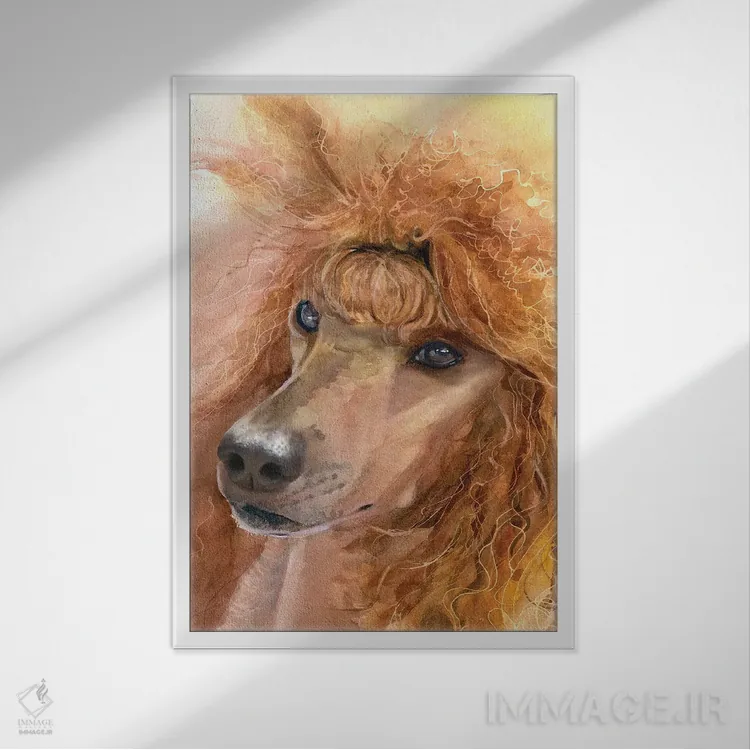 تابلو دکوراتیو پودل قرمز اثر جودیت استاین - نمای قابدار سفید