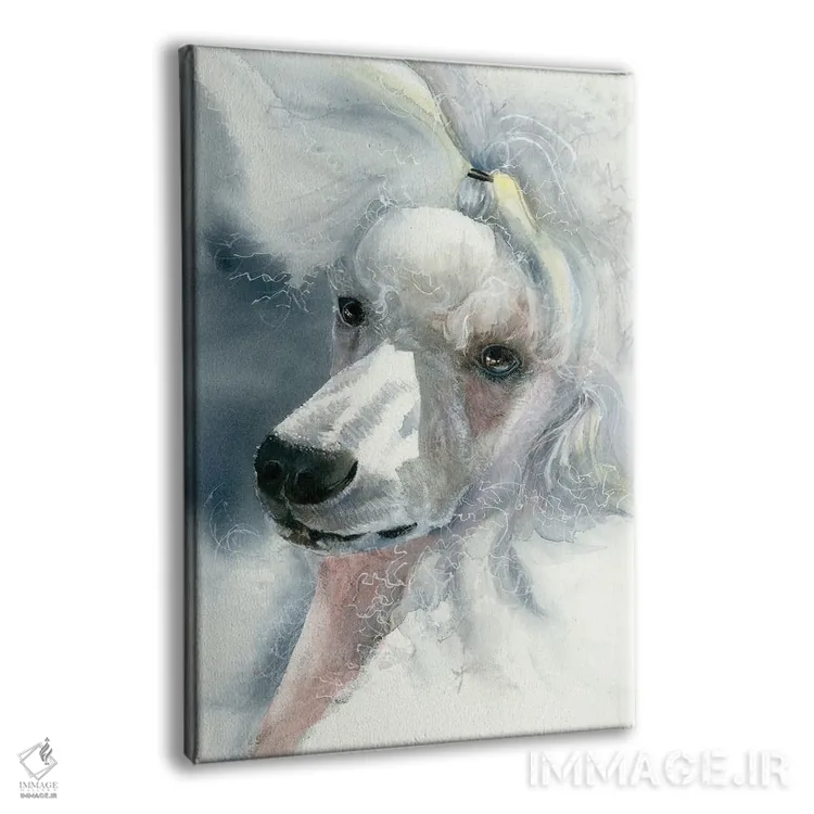 تابلو دکوراتیو بانوی شیک و باوقار اثر جودیت استاین - نمای پرسپکتیو محصول