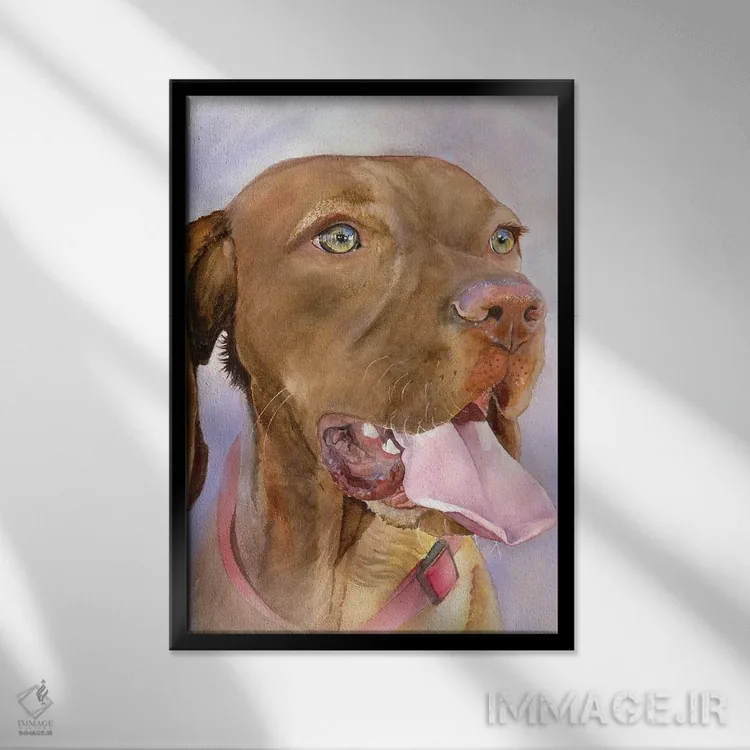 تابلو دکوراتیو نگاه ویزسلا اثر جودیت استاین - نمای قابدار مشکی