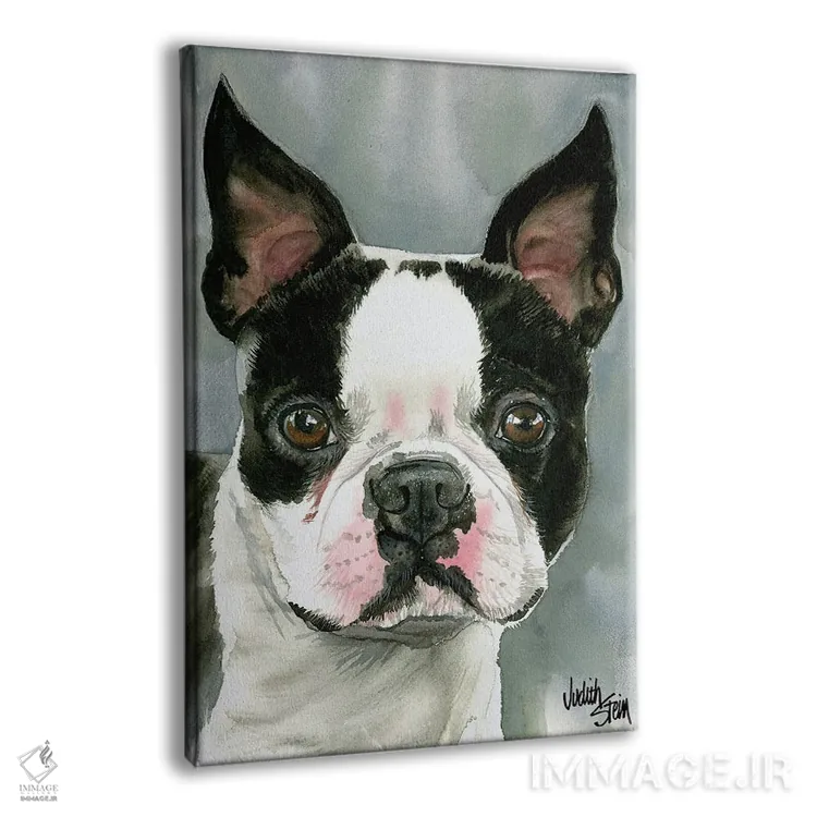 تابلو دکوراتیو آقای آمریکایی اثر جودیت استاین - نمای پرسپکتیو محصول