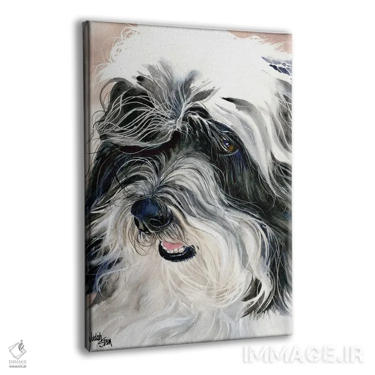 تابلو دکوراتیو سگ ابریشمی هاوانا اثر جودیت استاین - نمای پرسپکتیو محصول