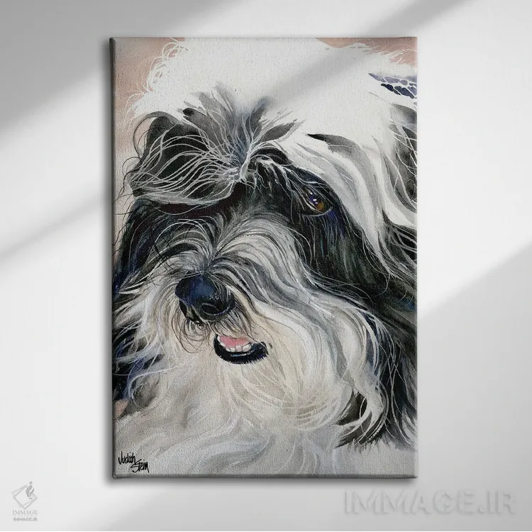 تابلو دکوراتیو سگ ابریشمی هاوانا اثر جودیت استاین - نمای روبهرو روی دیوار