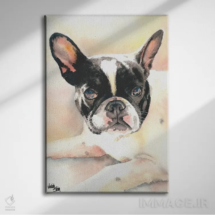 تابلو دکوراتیو فرنچی اثر جودیت استاین - نمای روبهرو روی دیوار