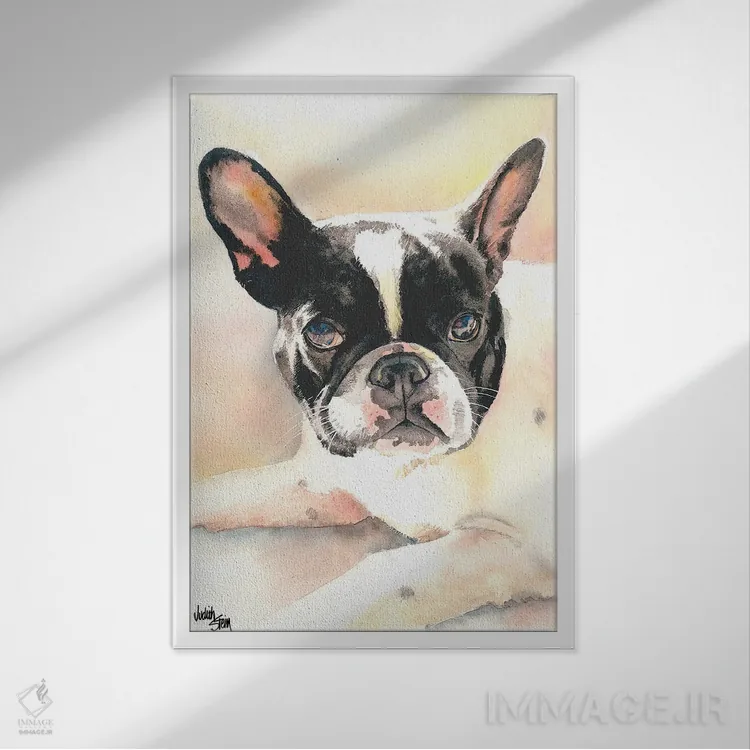 تابلو دکوراتیو فرنچی اثر جودیت استاین - نمای قابدار سفید