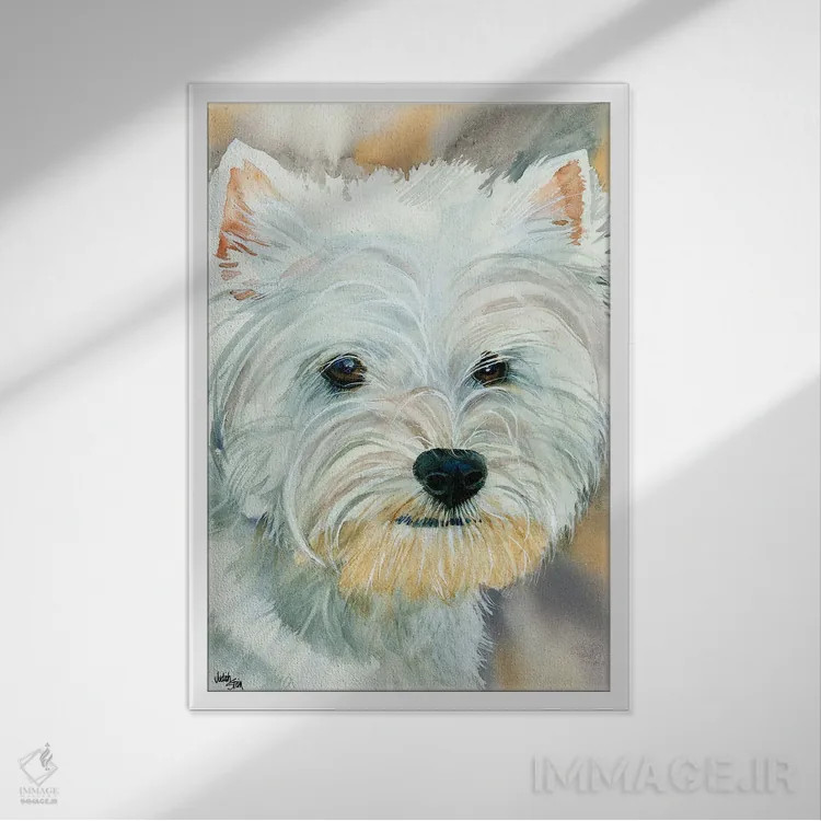 تابلو دکوراتیو برو وستی اثر جودیت استاین - نمای قابدار سفید