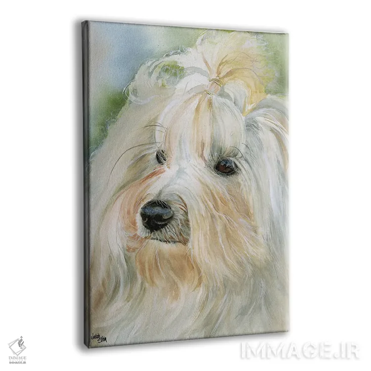 تابلو دکوراتیو هاوانای کوچک اثر جودیت استاین - نمای پرسپکتیو محصول