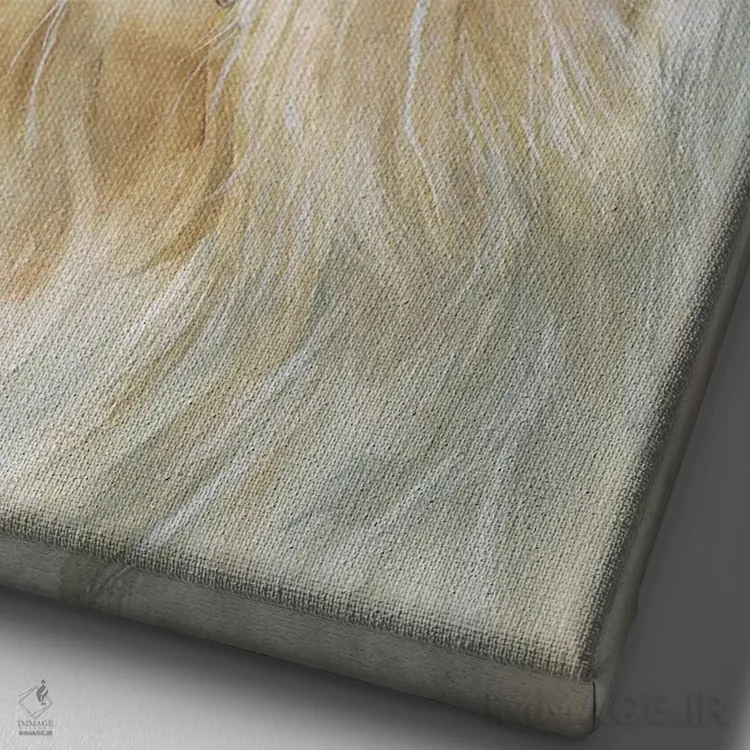 تابلو دکوراتیو هاوانای کوچک اثر جودیت استاین - نمای نزدیک بافت بوم