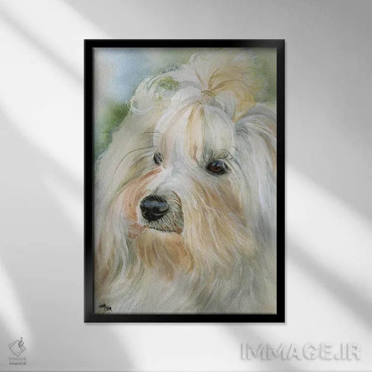 تابلو دکوراتیو هاوانای کوچک اثر جودیت استاین - نمای قابدار مشکی