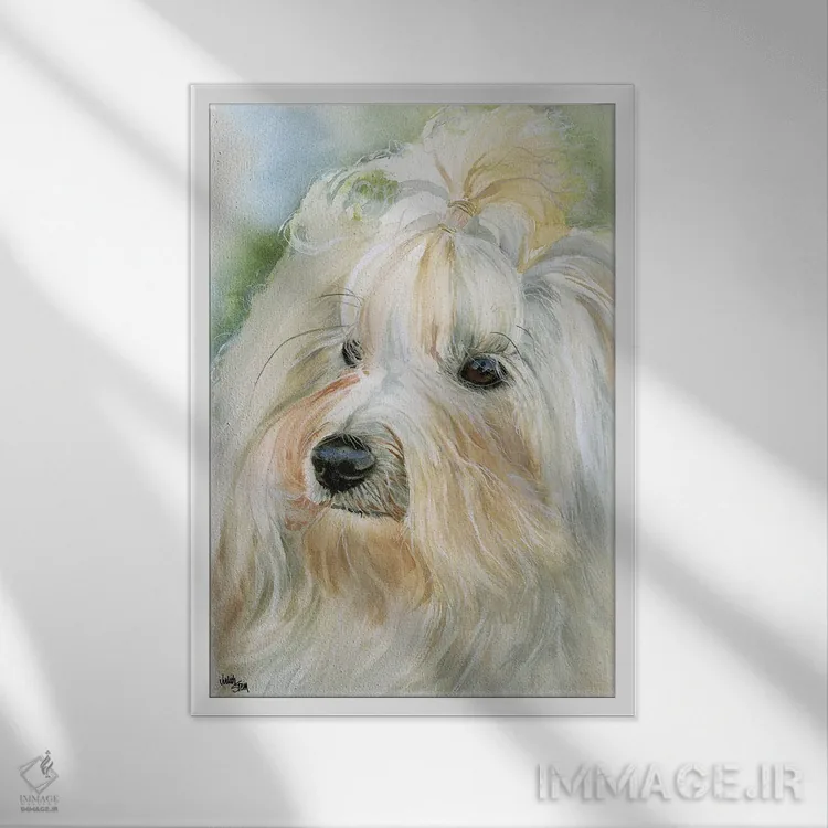 تابلو دکوراتیو هاوانای کوچک اثر جودیت استاین - نمای قابدار سفید