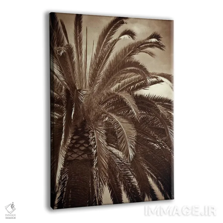 تابلو دکوراتیو نخل نجواگر اثر جنیفر بروسار - نمای پرسپکتیو محصول