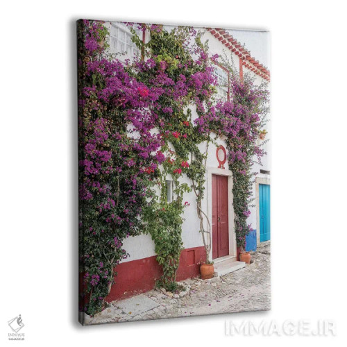 تابلو دکوراتیو Portugal, Obidos, Portugal,شکوفه های زیبای گل کاغذی در شهر سه… اثر جولی اگرز - نمای پرسپکتیو محصول