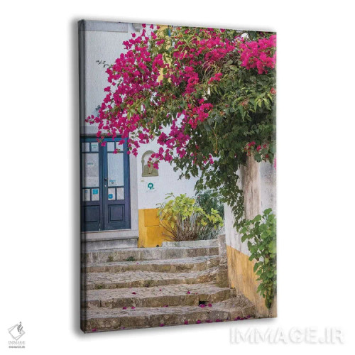 تابلو دکوراتیو Portugal, Obidos, Portugal,شکوفه های زیبای گل کاغذی در شهر یک… اثر جولی اگرز - نمای پرسپکتیو محصول