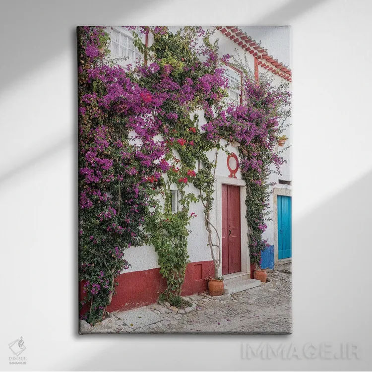 تابلو دکوراتیو Portugal, Obidos, Portugal,شکوفه های زیبای گل کاغذی در شهر سه… اثر جولی اگرز - نمای روبهرو روی دیوار