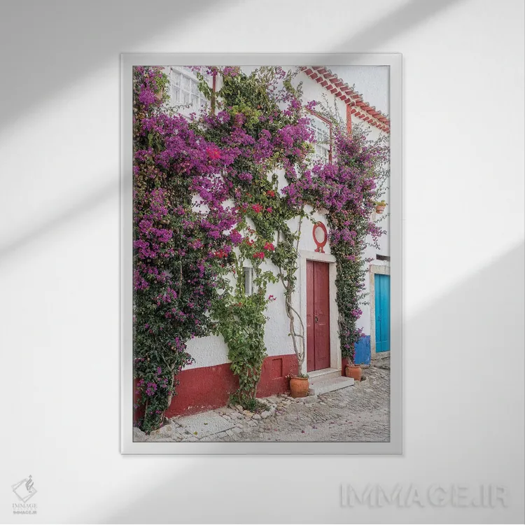 تابلو دکوراتیو Portugal, Obidos, Portugal,شکوفه های زیبای گل کاغذی در شهر سه… اثر جولی اگرز - نمای قابدار سفید