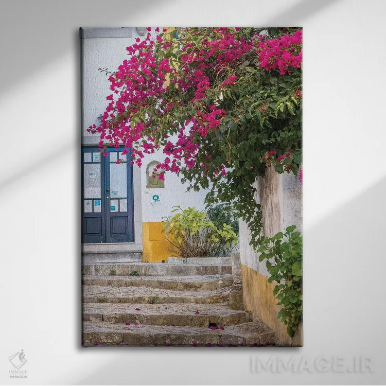 تابلو دکوراتیو Portugal, Obidos, Portugal,شکوفه های زیبای گل کاغذی در شهر یک… اثر جولی اگرز - نمای روبهرو روی دیوار