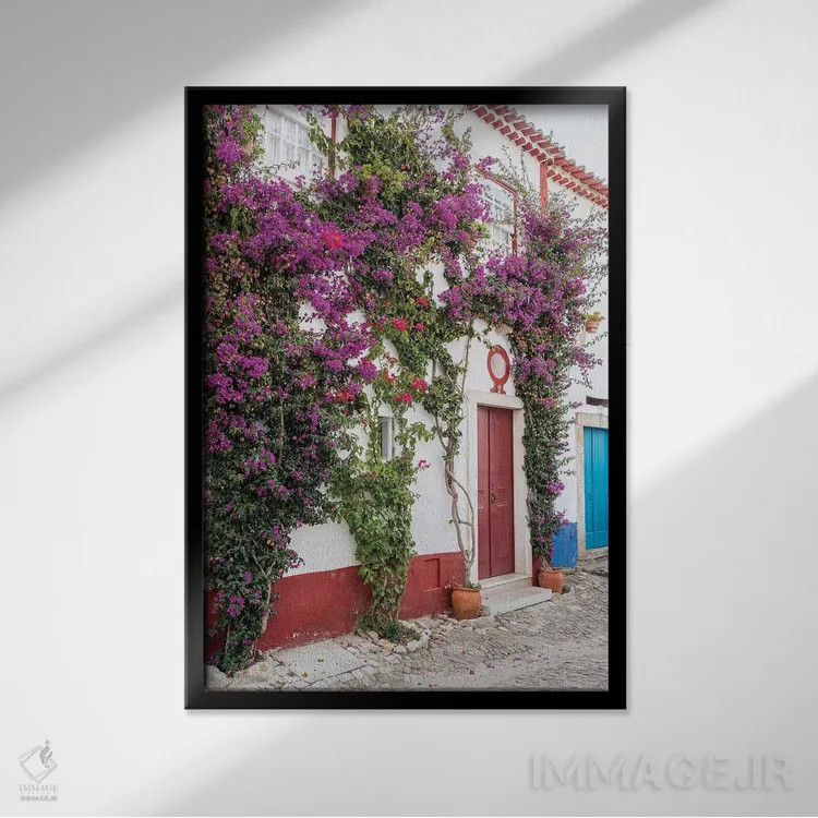 تابلو دکوراتیو Portugal, Obidos, Portugal,شکوفه های زیبای گل کاغذی در شهر سه… اثر جولی اگرز - نمای قابدار مشکی