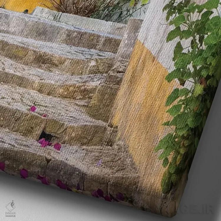 تابلو دکوراتیو Portugal, Obidos, Portugal,شکوفه های زیبای گل کاغذی در شهر یک… اثر جولی اگرز - نمای نزدیک بافت بوم