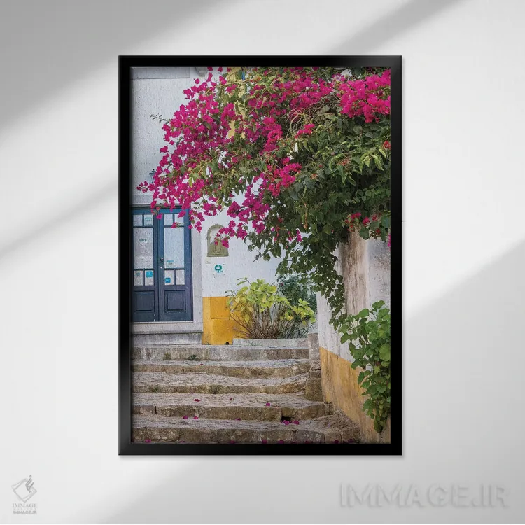 تابلو دکوراتیو Portugal, Obidos, Portugal,شکوفه های زیبای گل کاغذی در شهر یک… اثر جولی اگرز - نمای قابدار مشکی