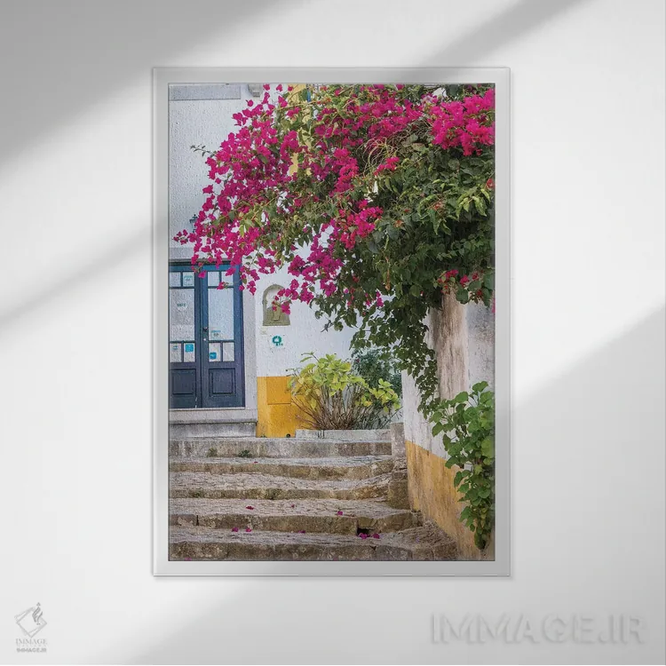 تابلو دکوراتیو Portugal, Obidos, Portugal,شکوفه های زیبای گل کاغذی در شهر یک… اثر جولی اگرز - نمای قابدار سفید