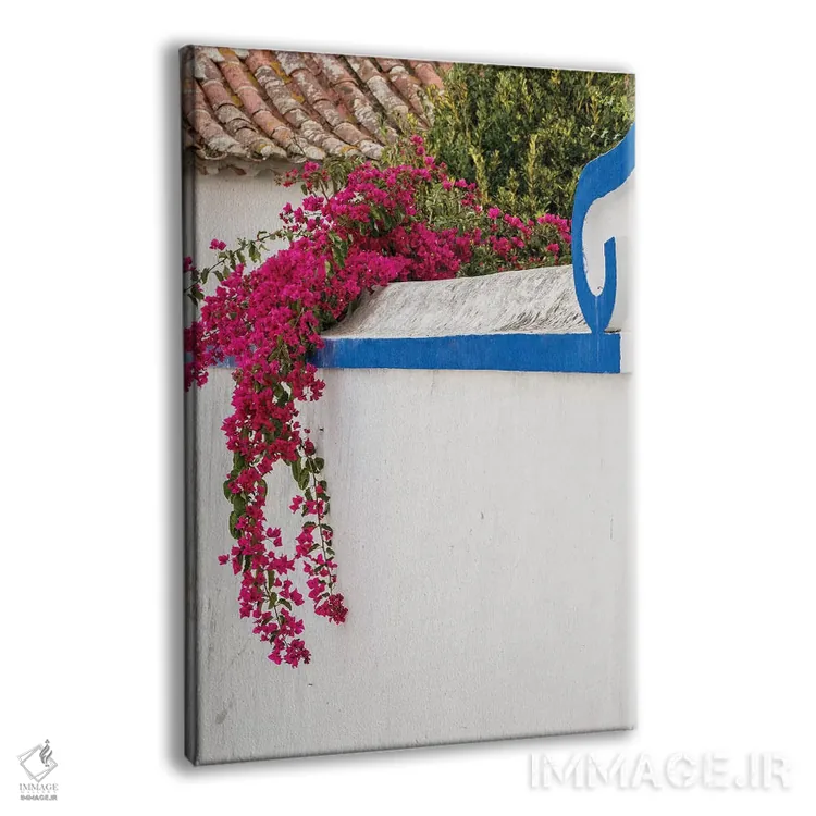 تابلو دکوراتیو Portugal, Obidos, Portugal,شکوفه های زیبای گل کاغذی در شهر چه… اثر جولی اگرز - نمای پرسپکتیو محصول