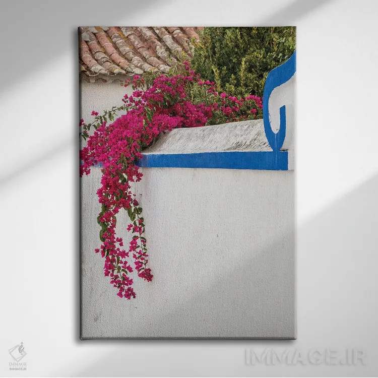 تابلو دکوراتیو Portugal, Obidos, Portugal,شکوفه های زیبای گل کاغذی در شهر چه… اثر جولی اگرز - نمای روبهرو روی دیوار