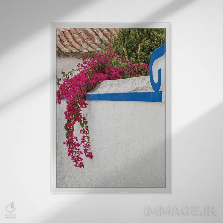 تابلو دکوراتیو Portugal, Obidos, Portugal,شکوفه های زیبای گل کاغذی در شهر چه… اثر جولی اگرز - نمای قابدار سفید