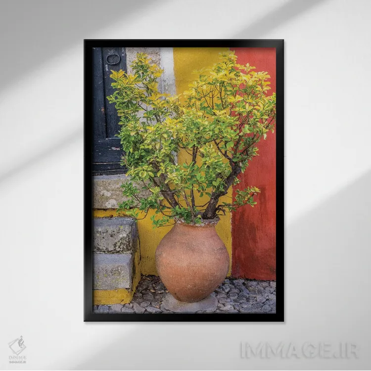 تابلو دکوراتیو Obidos, Portugal,گیاه گلدانی جلوی در ورودی رنگارنگ خانه، اوبی… اثر جولی اگرز - نمای قابدار مشکی