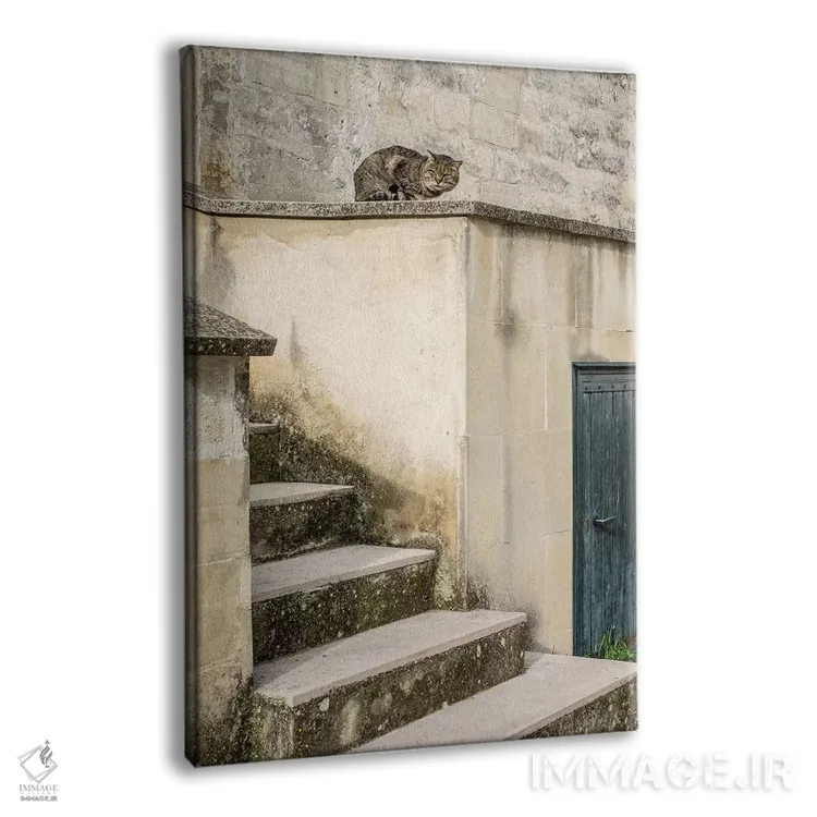 تابلو دکوراتیو گربه ها در حال گردش در شهر غارنشین ماترا اثر جولی اگرز - نمای پرسپکتیو محصول