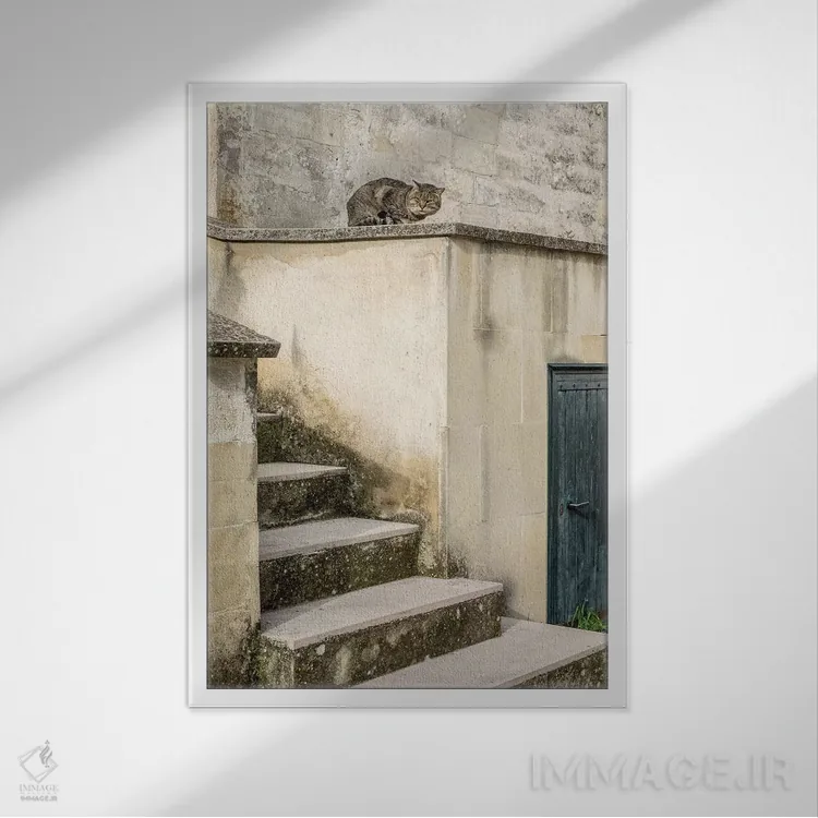 تابلو دکوراتیو گربه ها در حال گردش در شهر غارنشین ماترا اثر جولی اگرز - نمای قابدار سفید