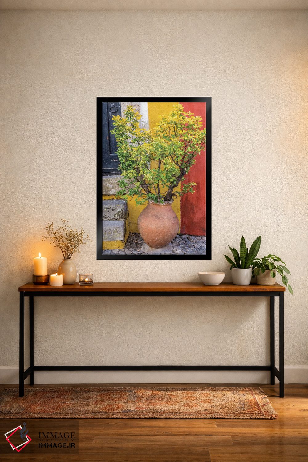 تابلو دکوراتیو Obidos, Portugal,گیاه گلدانی جلوی در ورودی رنگارنگ خانه، اوبی… اثر جولی اگرز - D5B