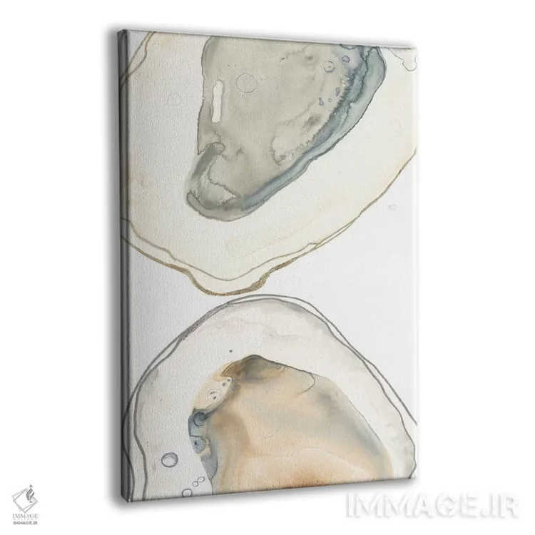 تابلو مینیمال صدف های اقیانوسی دو اثر جون اریکا وس - نمای پرسپکتیو محصول