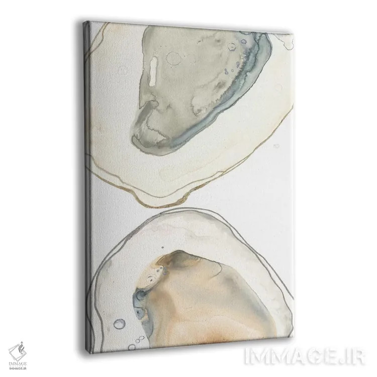 تابلو مینیمال صدف های اقیانوسی دو اثر جون اریکا وس - نمای پرسپکتیو محصول