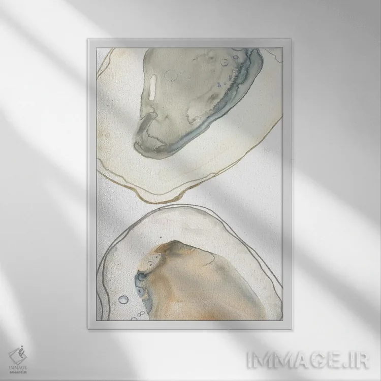 تابلو مینیمال صدف های اقیانوسی دو اثر جون اریکا وس - نمای قابدار سفید
