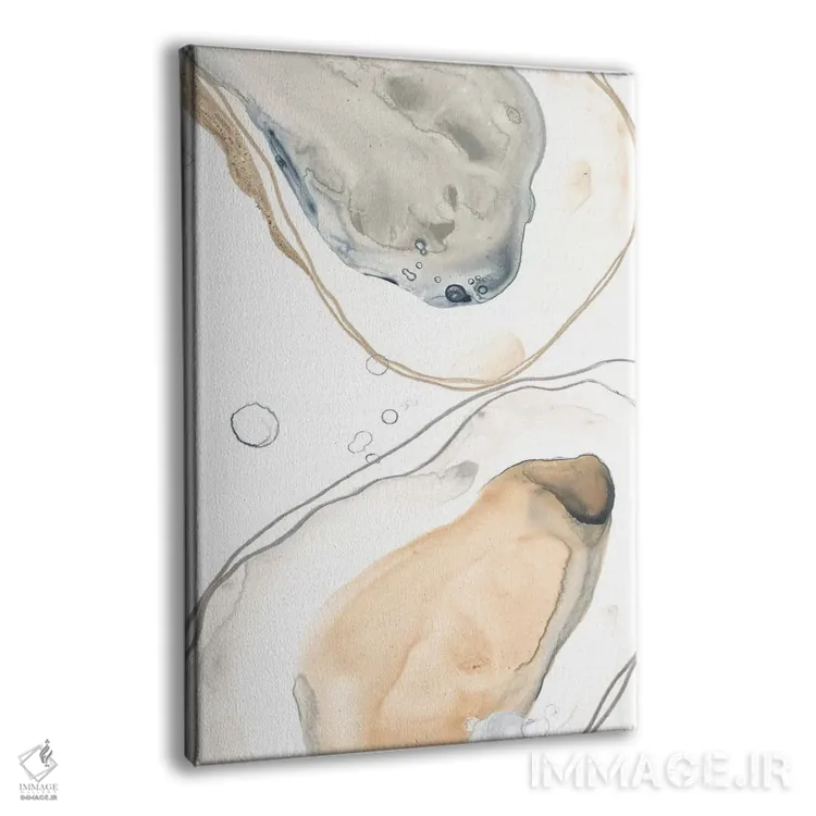 تابلو مینیمال صدف های اقیانوسی چهار اثر جون اریکا وس - نمای پرسپکتیو محصول