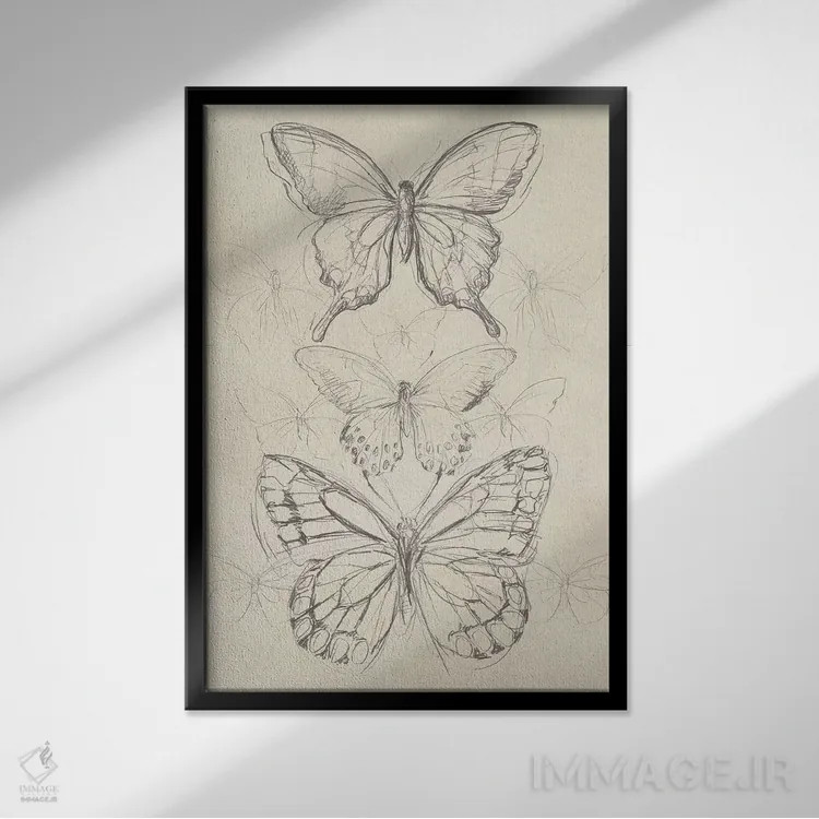 تابلو مدرن طرح پروانه قدیمی دوم اثر جون اریکا وس - نمای قابدار مشکی