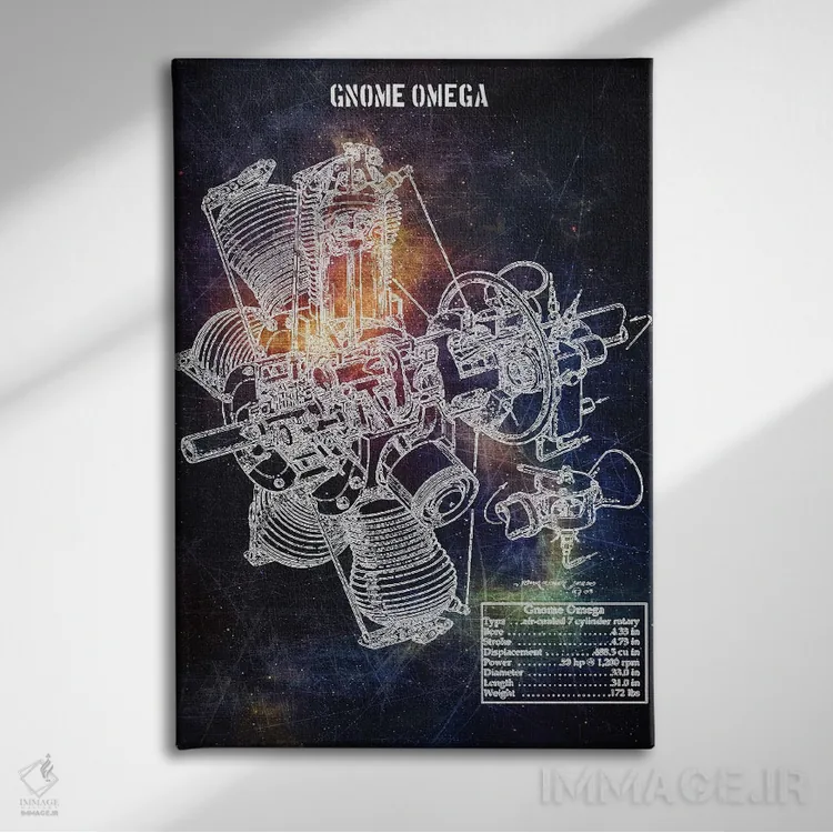 تابلو دکوراتیو گنوم امگا اثر جوزف فرناندو - نمای روبهرو روی دیوار