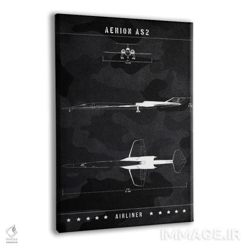 تابلو دکوراتیو آریون AS2 اثر جوزف فرناندو - نمای پرسپکتیو محصول