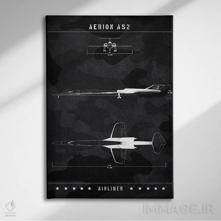 تابلو دکوراتیو آریون AS2 اثر جوزف فرناندو - نمای روبهرو روی دیوار