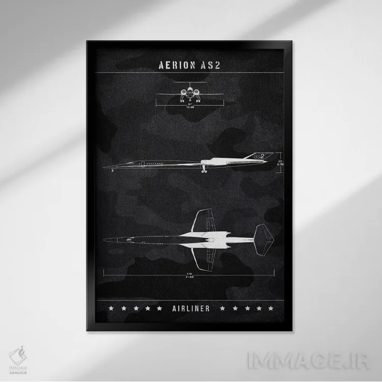 تابلو دکوراتیو آریون AS2 اثر جوزف فرناندو - نمای قابدار مشکی