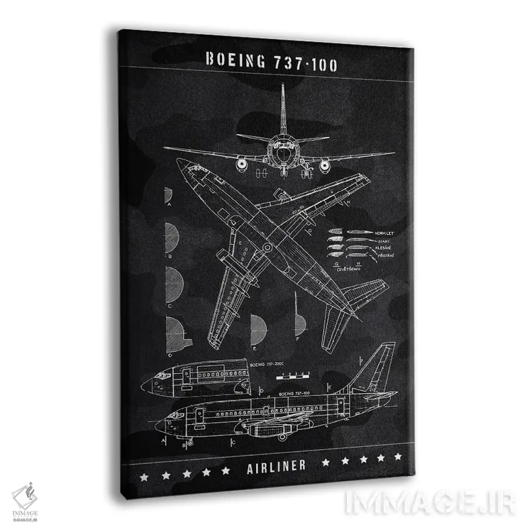 تابلو دکوراتیو بوئینگ ۷۳۷-۱۰۰ اثر جوزف فرناندو - نمای پرسپکتیو محصول