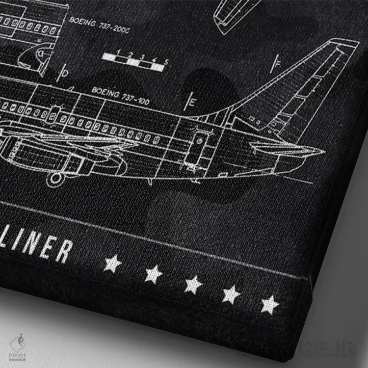 تابلو دکوراتیو بوئینگ ۷۳۷-۱۰۰ اثر جوزف فرناندو - نمای نزدیک بافت بوم