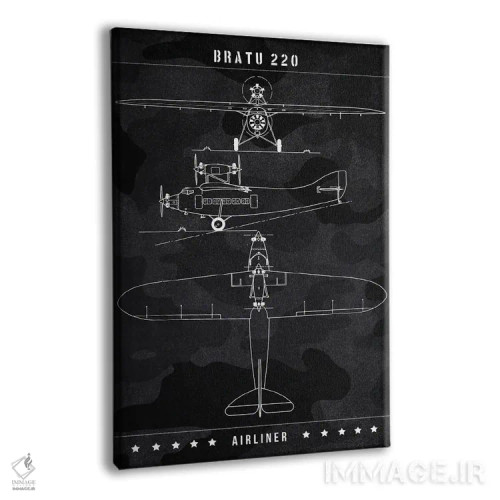 تابلو دکوراتیو براتو ۲۲۰ اثر جوزف فرناندو - نمای پرسپکتیو محصول
